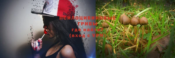 спайс Остров