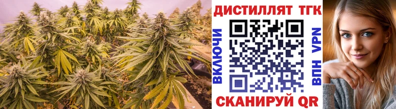 ОМГ ОМГ как войти  продажа наркотиков  Знаменск  ТГК Wax 