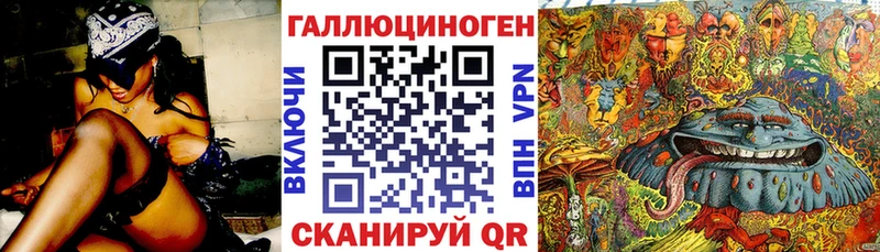 гидра сайт  Знаменск  Псилоцибиновые грибы Psilocybine cubensis 