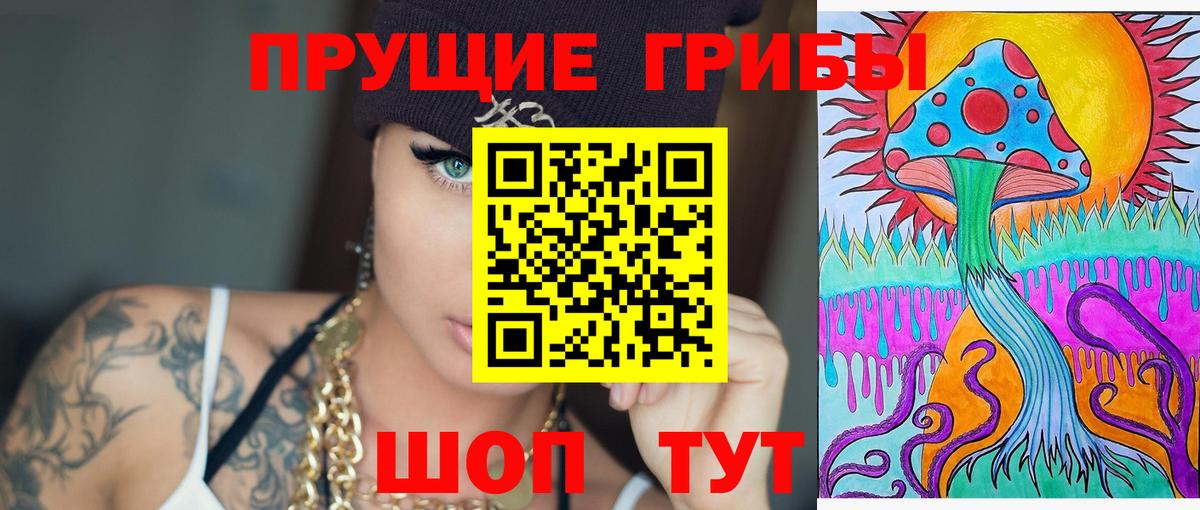 Галлюциногенные грибы Psilocybe Знаменск