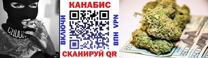 сколько стоит  Знаменск  площадка состав  Марихуана сатива 